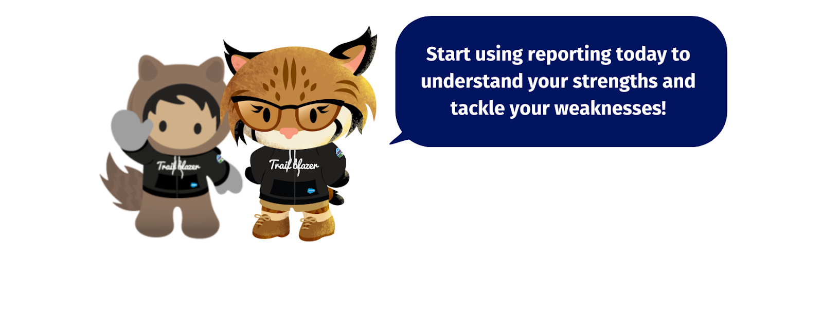 Salesforce Reports Tips and Tools for Data visualization
